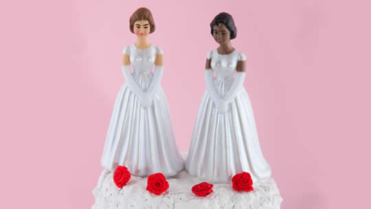 #nivoslider-2229-caption-1 lesbian wedding cake topper